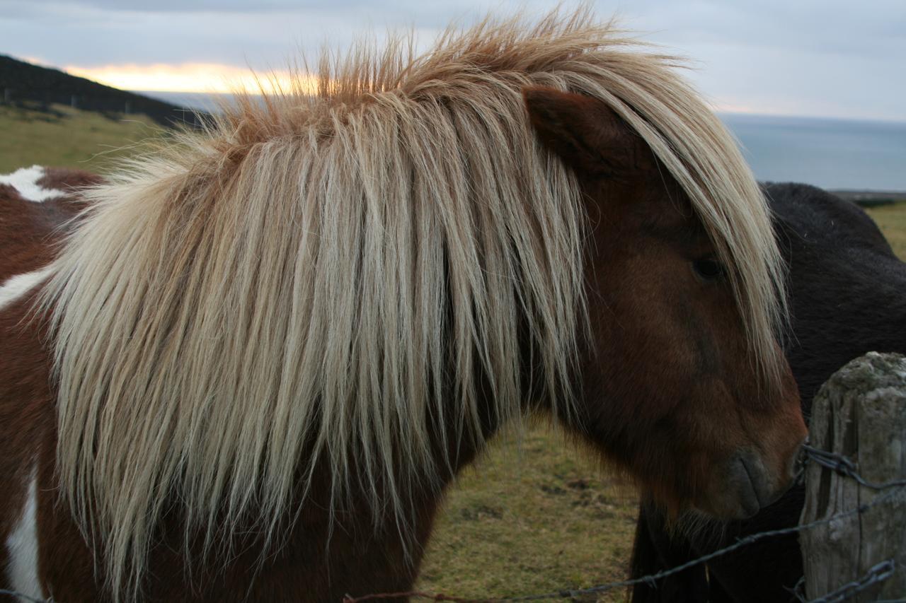 Lava Guesthouse Vestmannaeyjar Kültér fotó